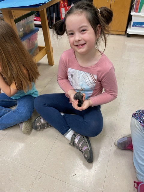 kindergarten enjoyed playing with baby chicks!